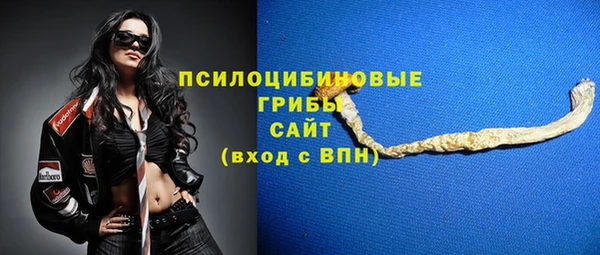 mdpv Белокуриха