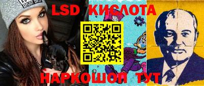 прущие грибы Гудермес
