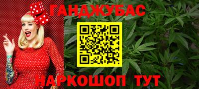 прущие грибы Гудермес