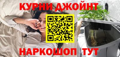 прущие грибы Гудермес