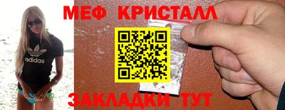 прущие грибы Гудермес