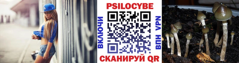 Галлюциногенные грибы Magic Shrooms Богородицк
