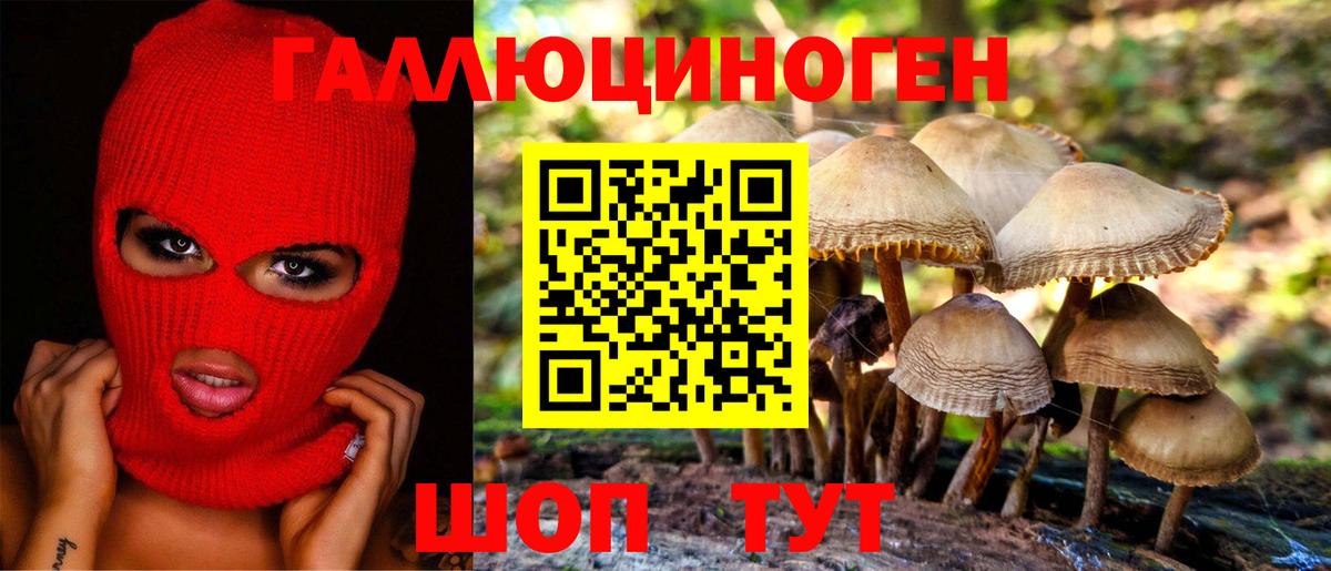 Богородицк  Галлюциногенные грибы MAGIC MUSHROOMS  где купить наркоту  Вход с VPN  Псилоцибиновые грибы Magic Shrooms 