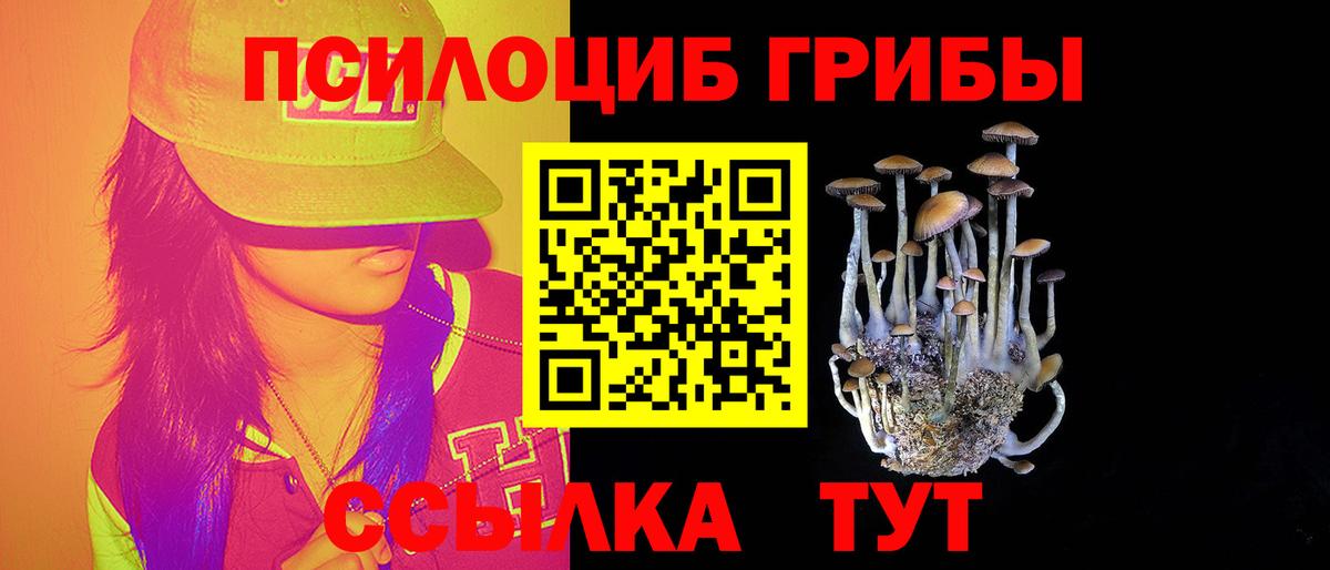 Псилоцибиновые грибы прущие грибы Богородицк